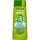Garnier Fructis Shampoo Kraft&Glanz 250ml