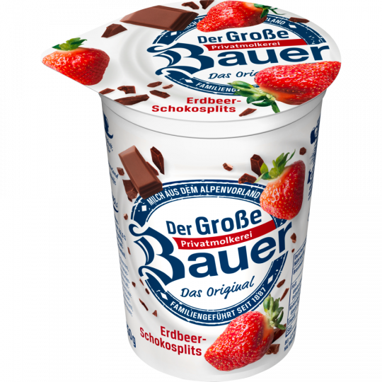 Bauer Joghurt Erdbeer Schokosplitter 250g