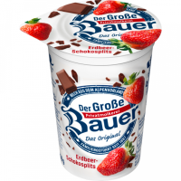 Bauer Joghurt Erdbeer Schokosplitter 250g