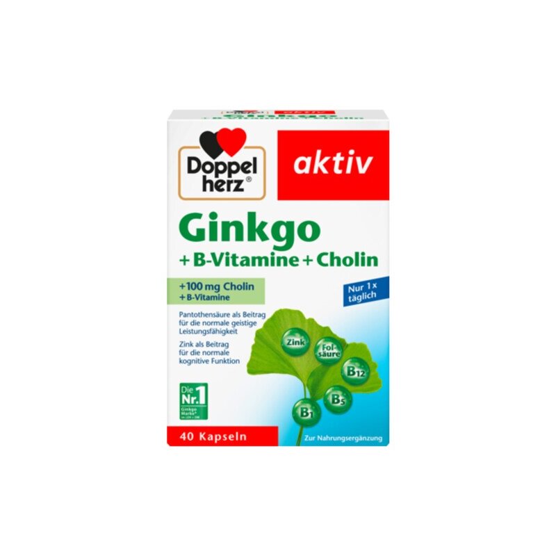 Doppelherz Ginkgo+BVitamine+Cholin 40er 22,2g, 8,19