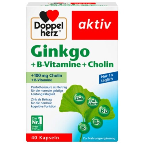Doppelherz Ginkgo+B-Vitamine+Cholin 40er 22,2g
