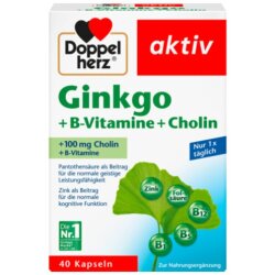 Doppelherz Ginkgo+B-Vitamine+Cholin 40er 22,2 g