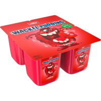 Müller Wackelpudding Himbeer 4x125g