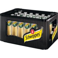 Schweppes Ginger Ale 24x0,2l