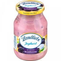 Landliebe Joghurt mit erlesenen Brombeeren 500g MW