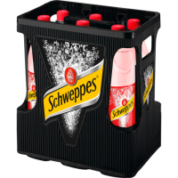 Schweppes Russian Wild Berry 6x1l Kiste