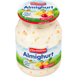 Almighurt Obstsalat 500g MW