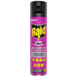 Raid Multi Insekten Spray 400 ml