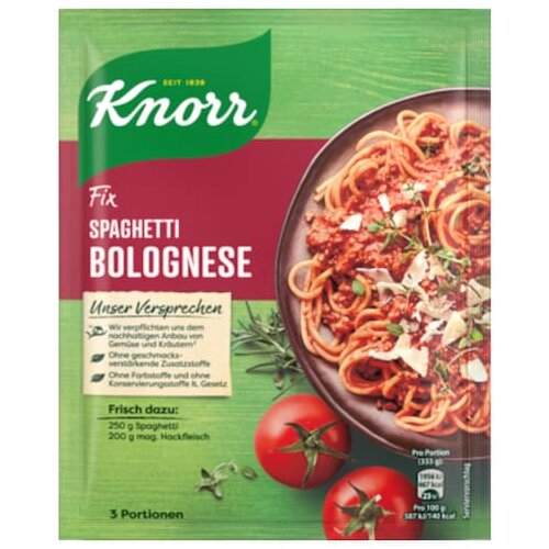 Knorr Fix Spaghetti Bologn.38g