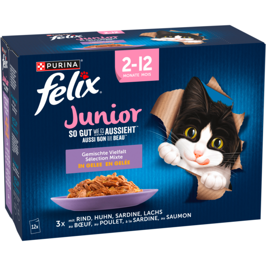 Felix Junior so gut wie es aussieht Gemischte Vielfalt 12x85g