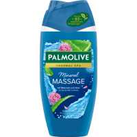 Palmolive Duschgel Wellness Massage 250ml